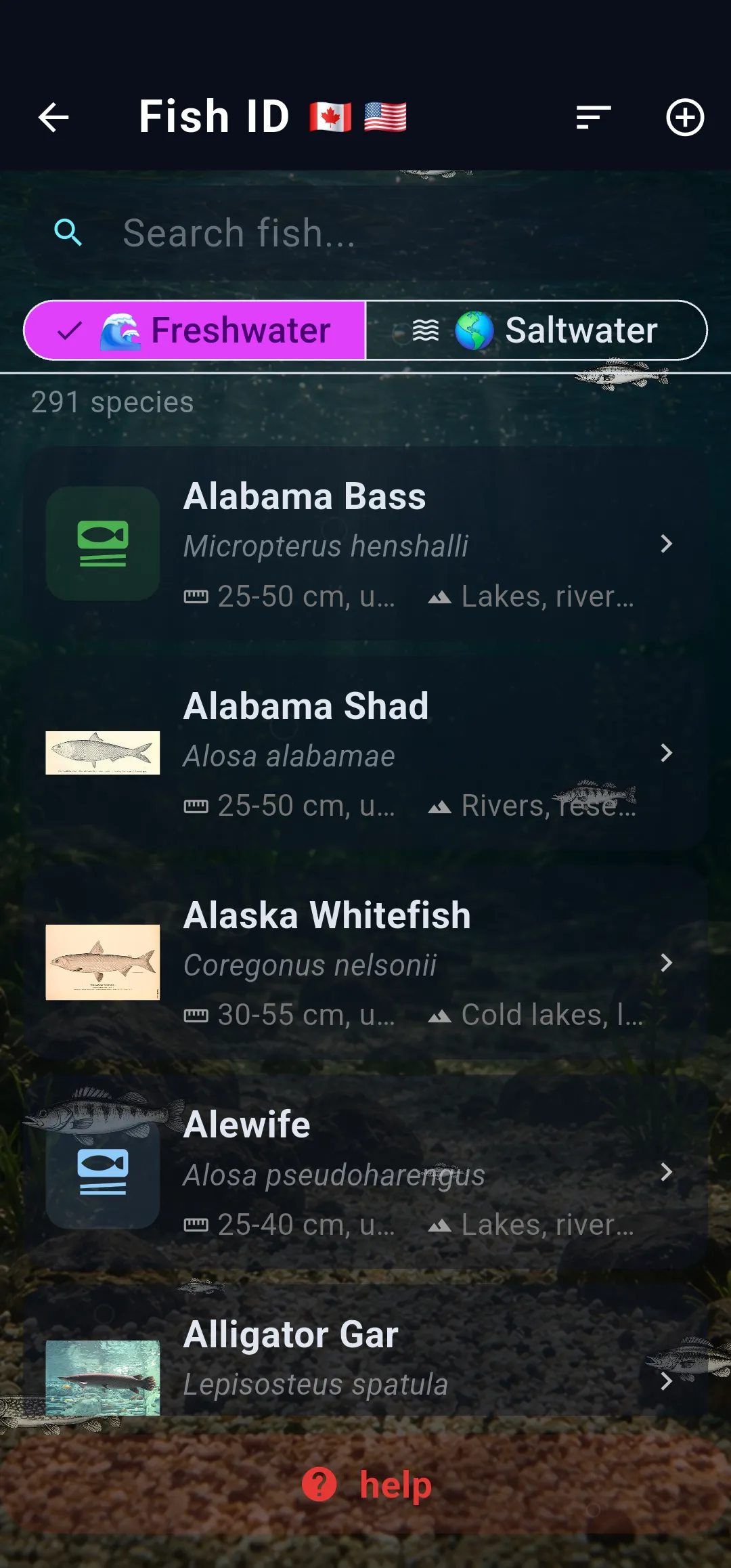 CatchTales AI fish identification screen